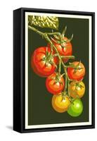 Tomatoes-Lantern Press-Framed Stretched Canvas