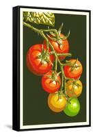 Tomatoes-Lantern Press-Framed Stretched Canvas