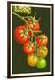 Tomatoes-Lantern Press-Framed Art Print