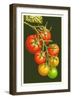 Tomatoes-Lantern Press-Framed Art Print