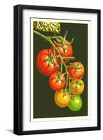 Tomatoes-Lantern Press-Framed Art Print