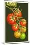 Tomatoes-Lantern Press-Mounted Art Print