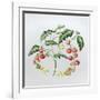 Tomatoes-Sally Crosthwaite-Framed Giclee Print