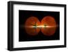 Tomatos-Wieteke de Kogel-Framed Photographic Print