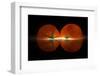 Tomatos-Wieteke de Kogel-Framed Photographic Print