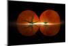 Tomatos-Wieteke de Kogel-Mounted Photographic Print