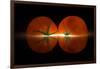 Tomatos-Wieteke de Kogel-Framed Photographic Print