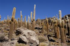 Tunupa Salt Flats-Tomaz Kunst-Photographic Print