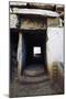 Tomb in Etruscan Necropolis of Populonia-null-Mounted Giclee Print