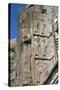 Tomb of Artaxerxes Ii, Persepolis, Iran-Vivienne Sharp-Stretched Canvas