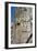 Tomb of Artaxerxes Ii, Persepolis, Iran-Vivienne Sharp-Framed Photographic Print