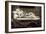 Tomb of Blessed Ludovica Albertoni, 1671-1675-null-Framed Giclee Print