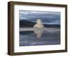 Tomb of Cyrus the Great, Pasargardae, Iran, Middle East-Sybil Sassoon-Framed Photographic Print