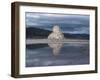 Tomb of Cyrus the Great, Pasargardae, Iran, Middle East-Sybil Sassoon-Framed Photographic Print