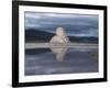 Tomb of Cyrus the Great, Pasargardae, Iran, Middle East-Sybil Sassoon-Framed Photographic Print