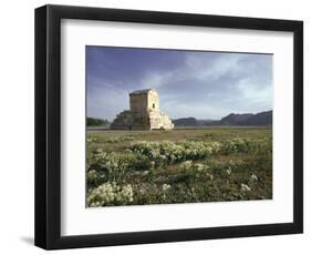 Tomb of Cyrus the Great, Passargadae (Pasargadae), Iran, Middle East-Christina Gascoigne-Framed Photographic Print