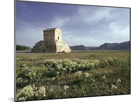 Tomb of Cyrus the Great, Passargadae (Pasargadae), Iran, Middle East-Christina Gascoigne-Mounted Photographic Print