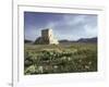 Tomb of Cyrus the Great, Passargadae (Pasargadae), Iran, Middle East-Christina Gascoigne-Framed Photographic Print