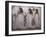 Tomb of Djeserkharaseneb, Thebes, Unesco World Heritage Site, Egypt, North Africa, Africa-Richard Ashworth-Framed Photographic Print