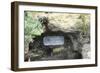 Tomb of Doctor Moreau, Hammam Meskoutine, Algeria-null-Framed Giclee Print