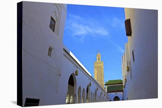 Tomb of Idriss 1, Moulay Idriss, Morocco, North Africa, Africa-Neil Farrin-Stretched Canvas