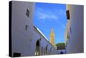 Tomb of Idriss 1, Moulay Idriss, Morocco, North Africa, Africa-Neil Farrin-Stretched Canvas