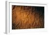 Tomb of Kheruf, Steward of Tiye, Stick Fighting with Papyrus Stalks; 18Th Dynasty. Va…, 1995 (Photo-Kenneth Garrett-Framed Giclee Print