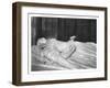 Tomb of Queen Elizabeth I, Westminster Abbey-null-Framed Giclee Print