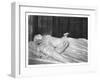 Tomb of Queen Elizabeth I, Westminster Abbey-null-Framed Giclee Print