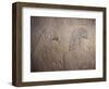 Tomb of Ramose, Valley of the Nobles, Thebes, Unesco World Heritage Site, Egypt-Richard Ashworth-Framed Photographic Print