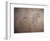 Tomb of Ramose, Valley of the Nobles, Thebes, Unesco World Heritage Site, Egypt-Richard Ashworth-Framed Photographic Print