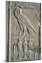 Tomb of Ramses II, Relief of Hieroglyphics Illustrating Litany of Ra from 19th Dynasty-null-Mounted Giclee Print