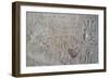 Tomb of Ramses IV, Graffiti on Wall in Corridor One-null-Framed Giclee Print