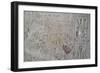 Tomb of Ramses IV, Graffiti on Wall in Corridor One-null-Framed Giclee Print