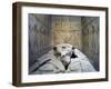 Tomb of Ramses VI, Mural Paintings and Fragmented Sarcophagus in Burial Chamber from 20th Dynasty-null-Framed Giclee Print