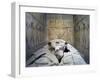 Tomb of Ramses VI, Mural Paintings and Fragmented Sarcophagus in Burial Chamber from 20th Dynasty-null-Framed Giclee Print