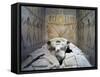 Tomb of Ramses VI, Mural Paintings and Fragmented Sarcophagus in Burial Chamber from 20th Dynasty-null-Framed Stretched Canvas
