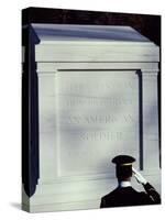 Tomb of the Unknown Soldier, Arlington National Cemetery, Arlington, Virginia, USA-null-Stretched Canvas