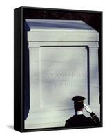 Tomb of the Unknown Soldier, Arlington National Cemetery, Arlington, Virginia, USA-null-Framed Stretched Canvas