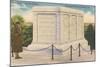 Tomb of the Unknown Soldier, Arlington-null-Mounted Art Print