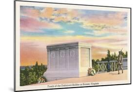 Tomb of Unknown Soldier, Arlington National Cemetery-null-Mounted Art Print