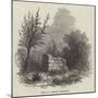 Tomb of Virginia, Mauritius-null-Mounted Giclee Print