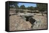 Tomba Di Giganti Moru, a Bronze Age Funerary Monument Dating from 1300 Bc-Ethel Davies-Framed Stretched Canvas