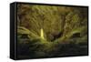 Tombs of Ancient Heroes-Caspar David Friedrich-Framed Stretched Canvas
