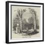 Tombs of Paul and Virginia-null-Framed Giclee Print