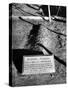 Tombstone of Bonnie Parker-Carl Mydans-Stretched Canvas