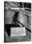 Tombstone of Bonnie Parker-Carl Mydans-Stretched Canvas