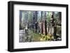 Tombstone-Paskee-Framed Photographic Print