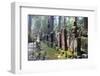 Tombstone-Paskee-Framed Photographic Print