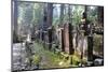 Tombstone-Paskee-Mounted Photographic Print